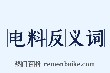电料反义词是什么意思的图片